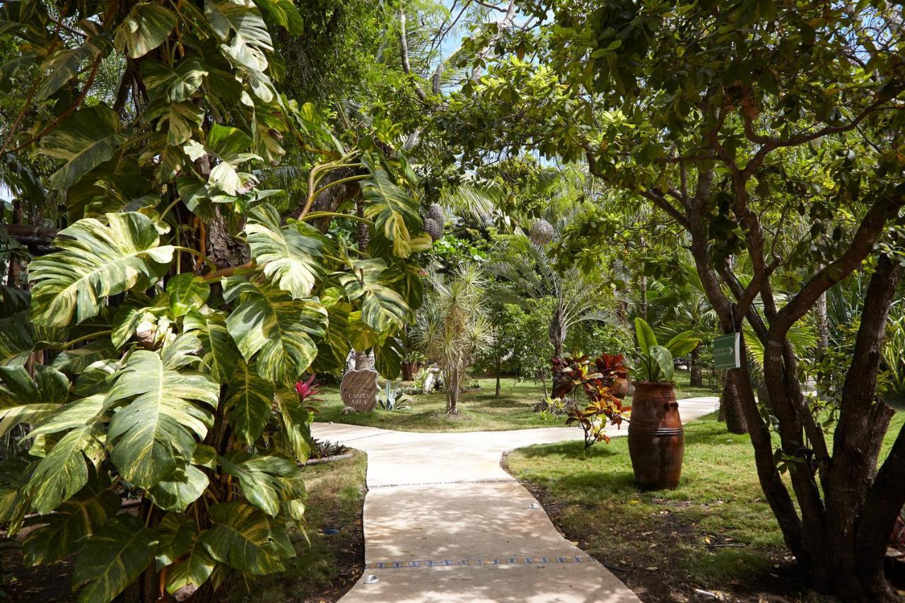Hotel Coco Hacienda Tulum - Adults Only Exteriér fotografie